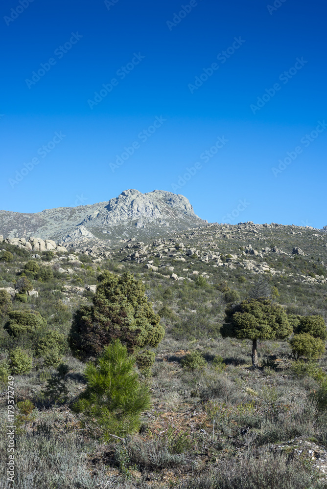 Views of Guadarrama Mountains (Madrid, Spain) with La Maliciosa peak in the background.