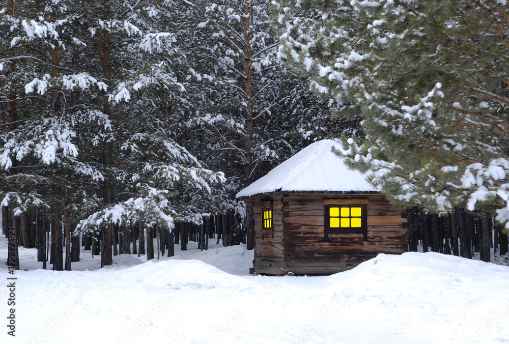 little house in winter forest
