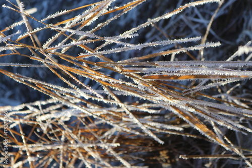 Detailaufnahme von Eiskristallen auf getrocknetem Gras im Winter