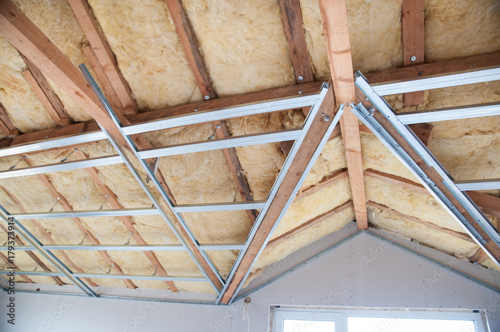 Construction of ceiling insulation