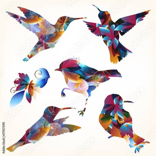Collection of vector colorful hummingbirds shapes for design