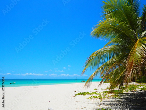 Fototapeta Naklejka Na Ścianę i Meble -  New Caledonia