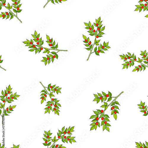 Wallpaper Mural Seamless pattern with Christmas Berry Torontodigital.ca
