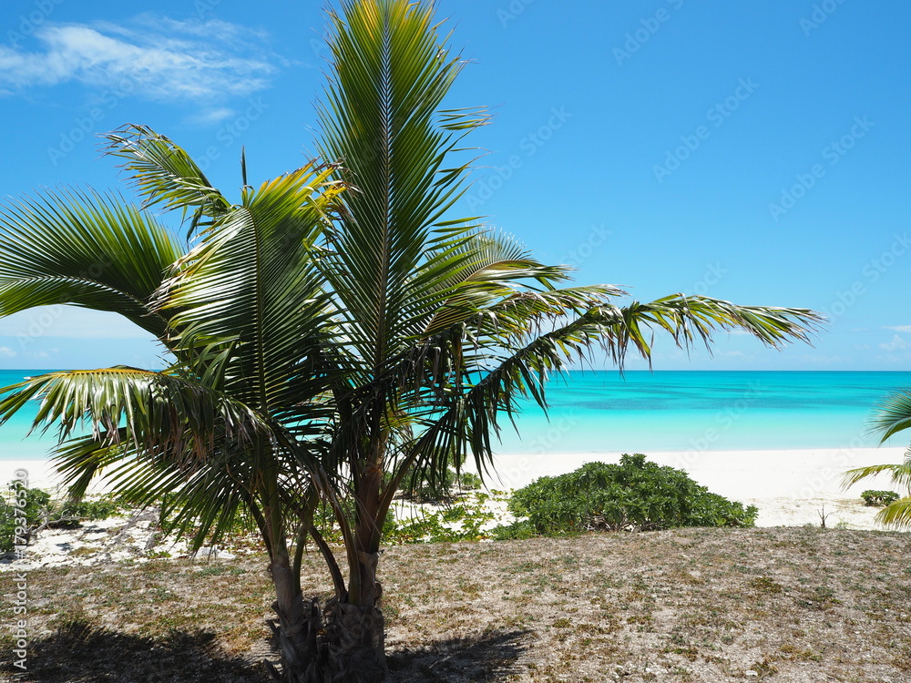 New Caledonia