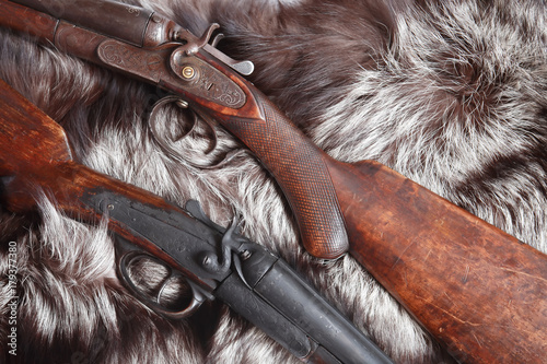 Old Hunting Shotguns photo