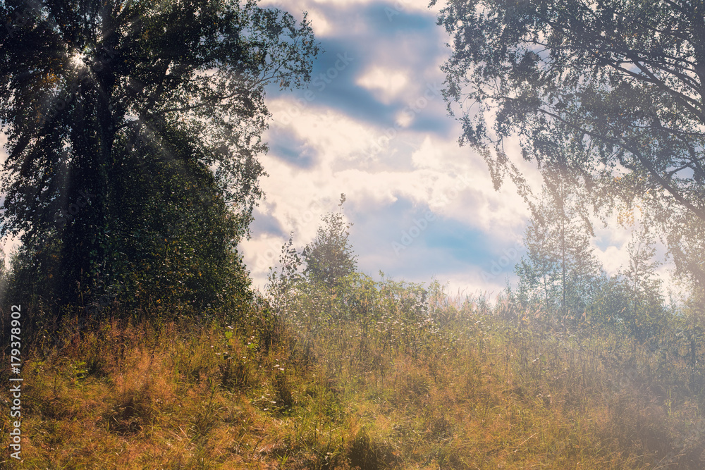 Spring Nature. Beautiful Landscape. Spring Nature. Beautiful Landscape.