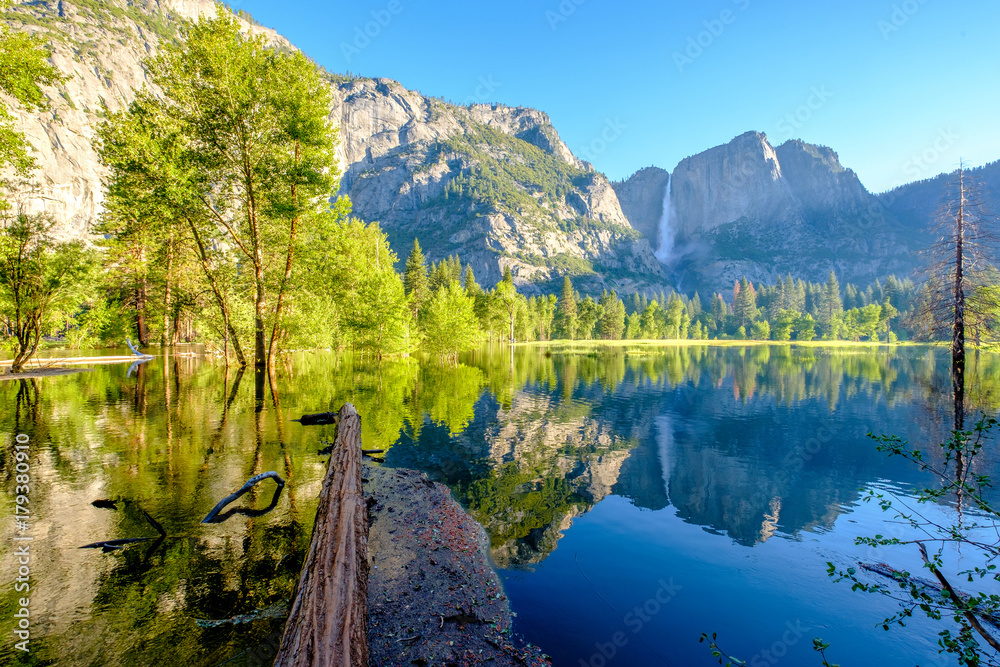 Naklejka premium Merced River and Yosemite Falls landscape
