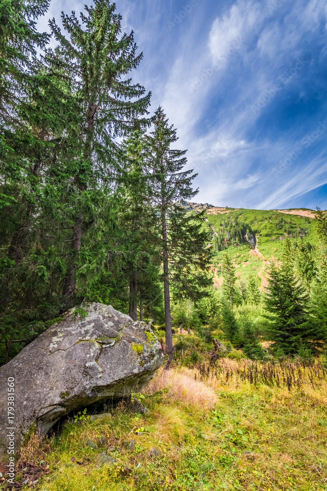 Obraz premium View to Tatras mountains in autumn, Poland