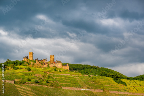 Thurant Castle and vineyards above Moselle river near Alken, Germany.