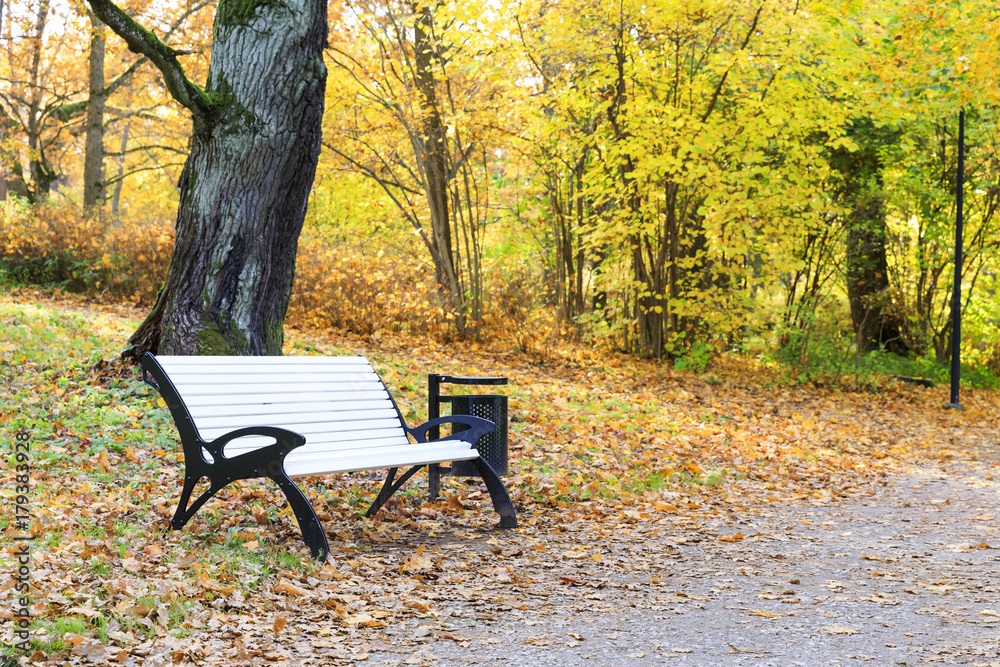 White bench in a park in autumn