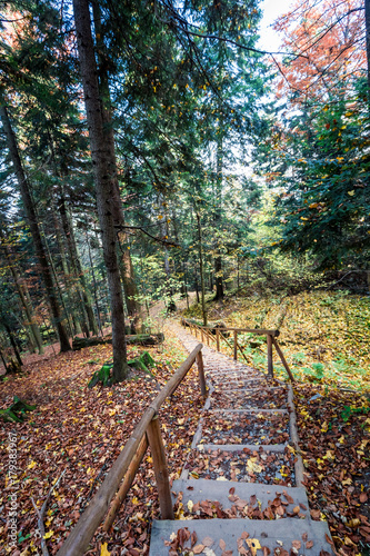 Path from Sokolica peak in Pieniny mountains in autumn, Poland