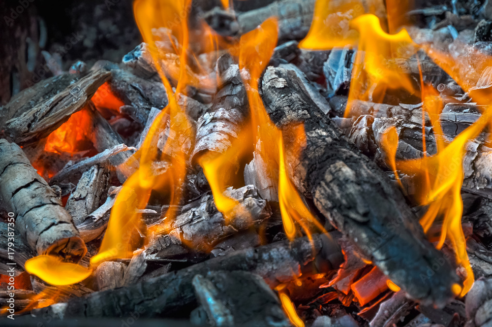 Burning fire and a lot of coals close-up Burning fire and a lot of coals close-up