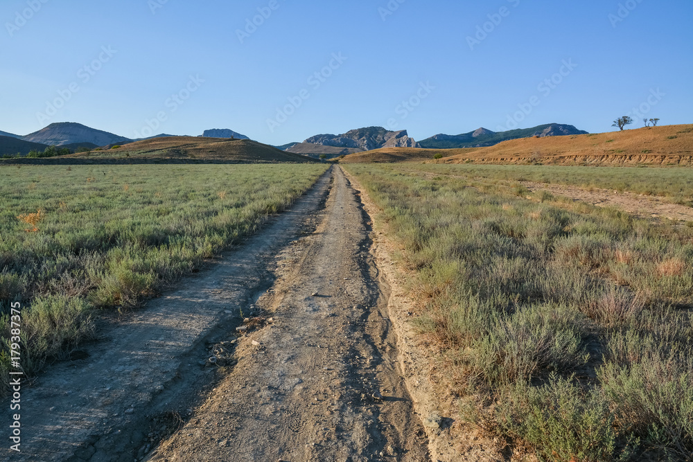 Dirt road in the savannah and mountains in the background
