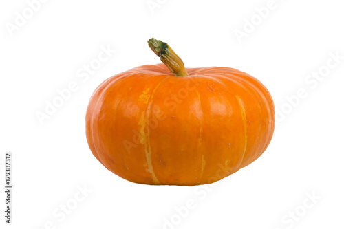 Pumpkin on white background. Fresh and orange