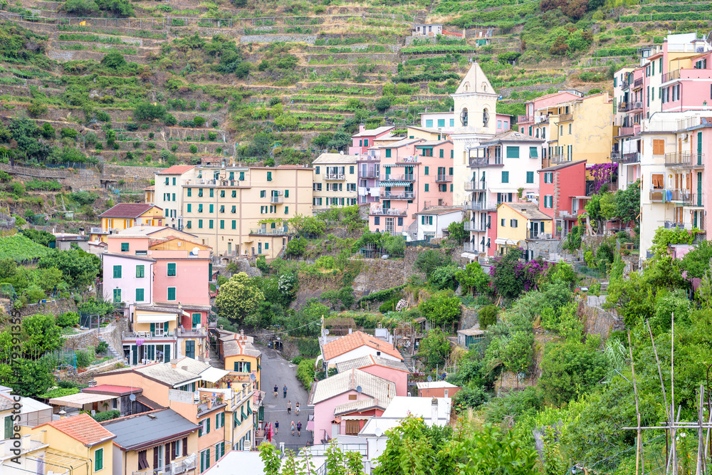 Beautiful view to Manarola city in mountains of Cinque Terre