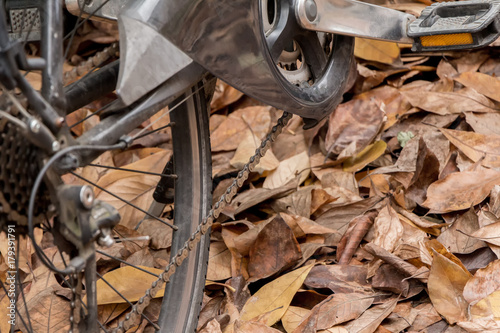 Bicycle close-up on dry leaves (bicycle and autumn concept) 