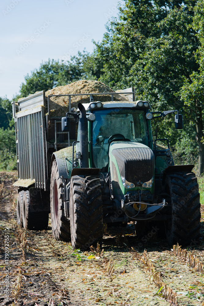 Maisernte, Maishäcksler in Aktion, Erntewagen mit Traktor Maisernte, Maishäcksler in Aktion, Erntewagen mit Traktor