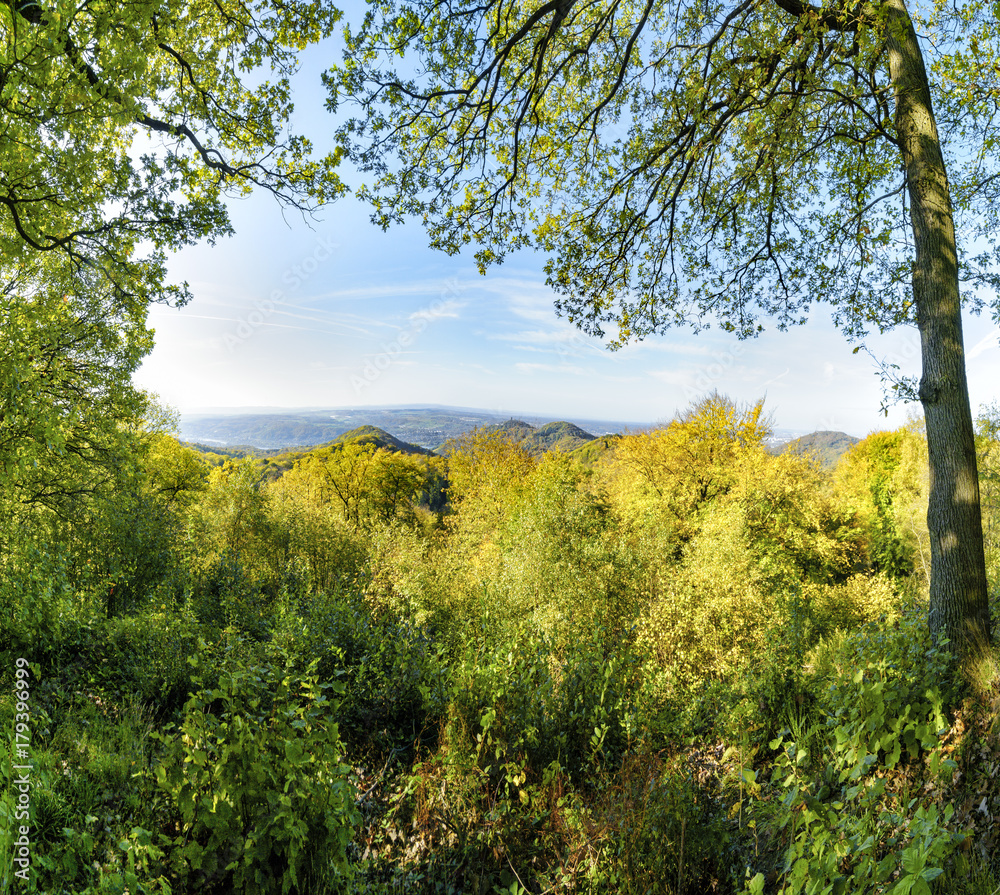 Blick aus dem hebstlichen Siebengebirge über den Drachenfels ins Rheintal und die Eifel Blick aus dem hebstlichen Siebengebirge über den Drachenfels ins Rheintal und die Eifel