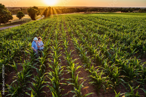 A farmer and his wife in their cornfield at sunset using a tablet