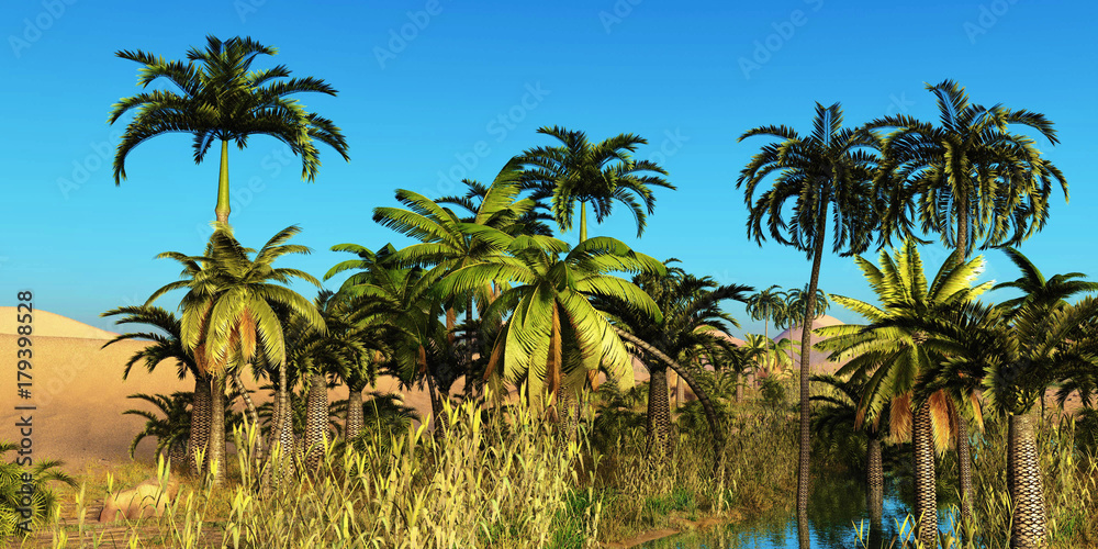 Obraz premium Spectacular sunset in the Sahara desert 3d rendering
