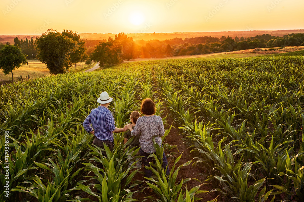 Farmer family standing in their cornfield at sunset Farmer family standing in their cornfield at sunset