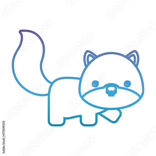 cute squirrel icon over white background vector illustration