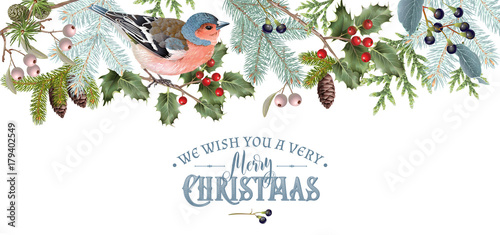 Bird Christmas border