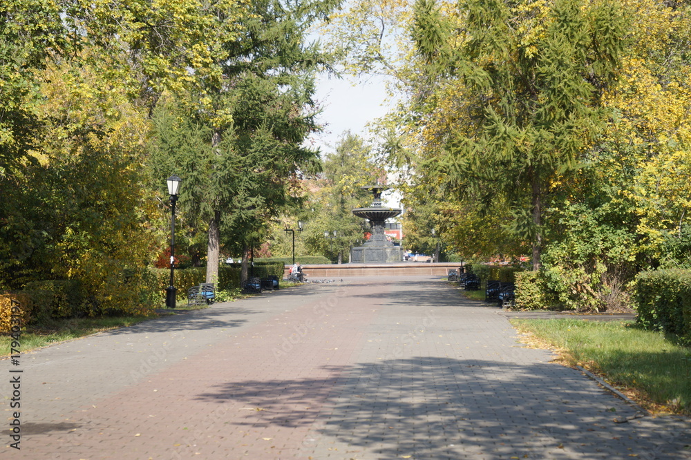 Fototapeta premium park