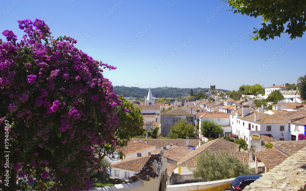 Obraz premium Beautiful cityscape in Óbidos. Portugal.
