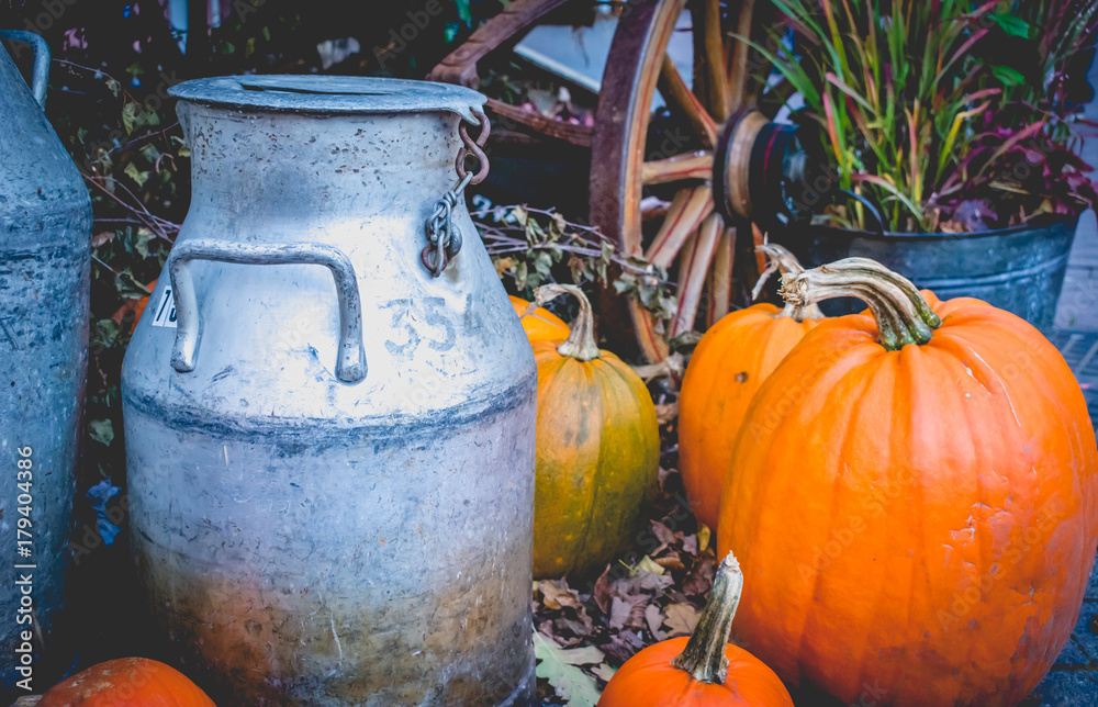 Milk Cans Pumpkins Halloween Thanksgiving Autumn Harvest Seasonal Copy Space. Retro Look Milk Cans Pumpkins Halloween Thanksgiving Autumn Harvest Seasonal Copy Space. Retro Look