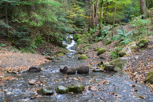 woodland stream photo