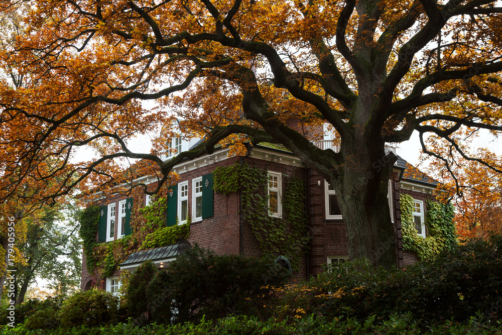 Beautiful brick house in Hamburg, Germany, with yellow orange autumn leaves on the tree