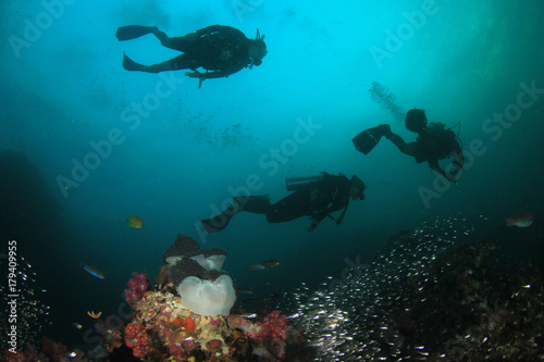 Scuba diving. Scuba divers explore coral reef underwater