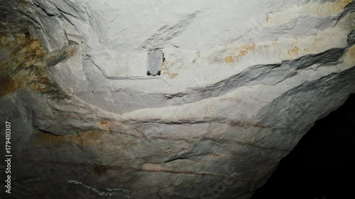 Daubenton's Bat (Myotis daubentoni), water bat hibernate in mine tunnel over stream. Fur covered with large drops of dew, condensation of water vapor
 photo