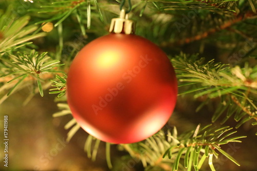Rote Christbaumkugel am Weihnachtsbaum  Nahaufnahme
