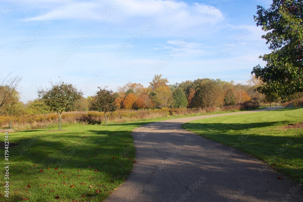 The winding path in the park on a sunny autumn day.