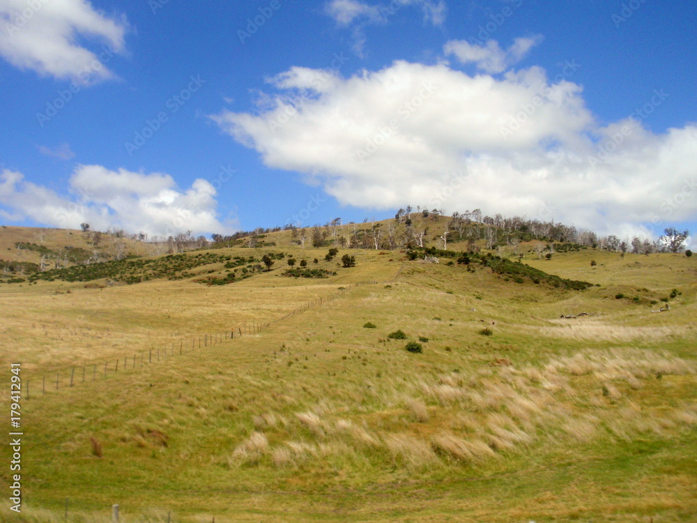 Obraz premium オーストラリアの草原