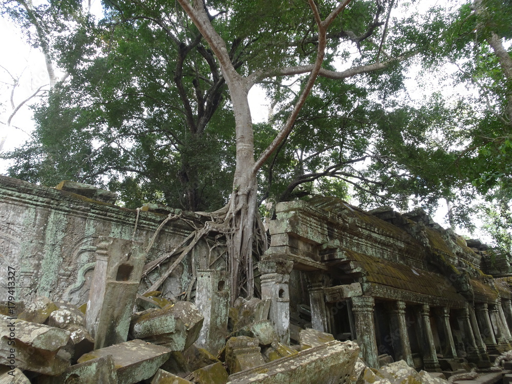Ta Prohm Temple in Siem Reap, Cambodia