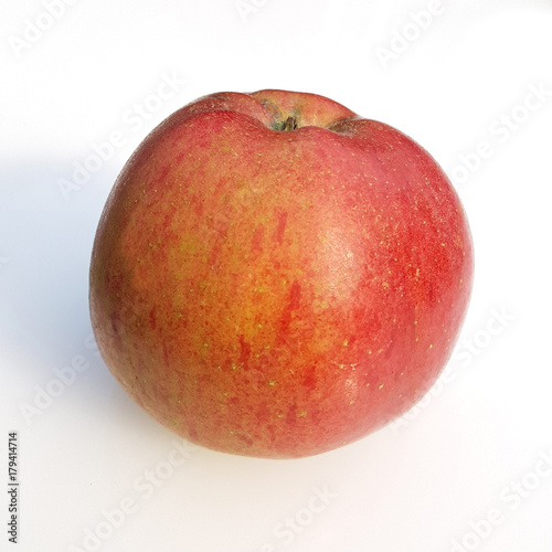 Melrose, Apfel, Malus, domestica, Alte Apfelsorte photo