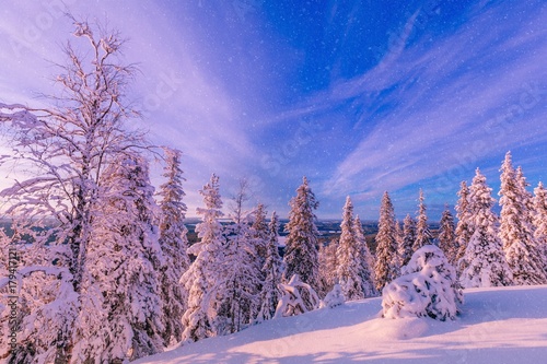 Trees covered with hoarfrost and snow in winter mountains photo