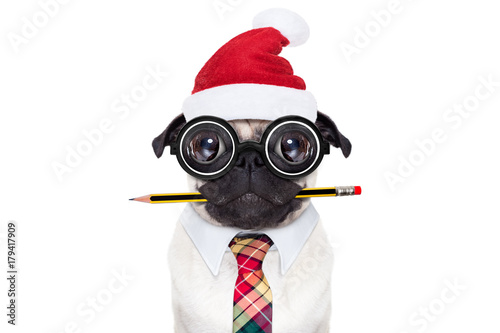 dog office worker on christmas holidays © Javier brosch
