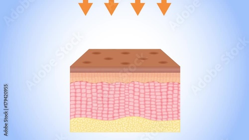 UV going to skin cell / ultraviolet photo