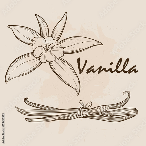 Vanilla pods and flowers
