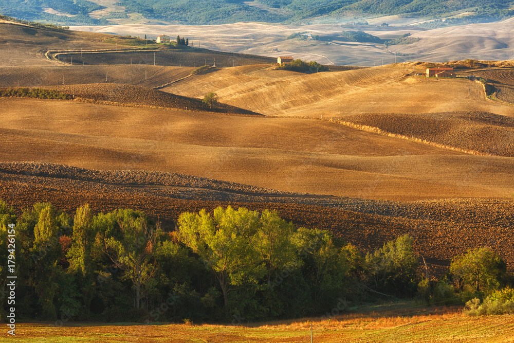 Sunny september day in the fields of Tuscany. Italy