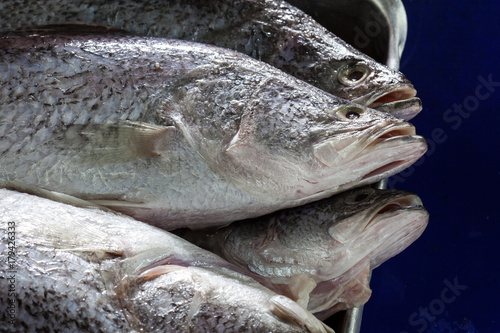 fresh fish in tray for cooking in restaurant kitchen