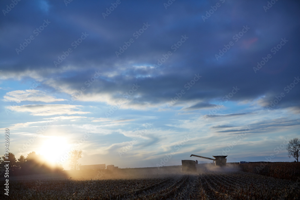 Sunset over combine harvesters in a maize field Sunset over combine harvesters in a maize field