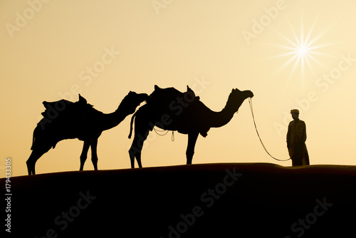 Rajasthan travel background - Indian cameleers  camel drivers  with camels silhouettes in dunes of Thar desert on sunset. Jaisalmer  Rajasthan  India