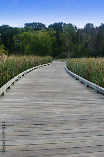 Boardwalk through the park