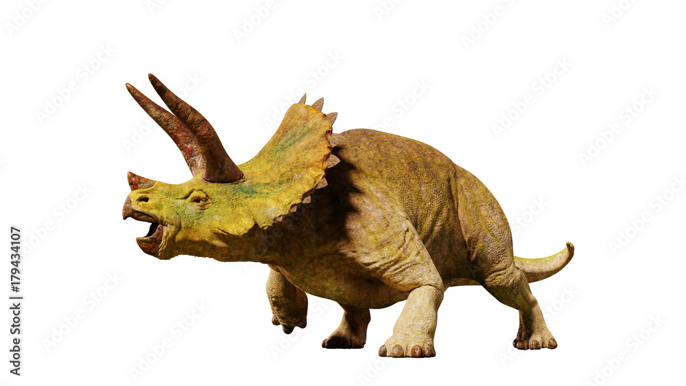 Naklejka Triceratops horridus dinozaur z epoki jurajskiej