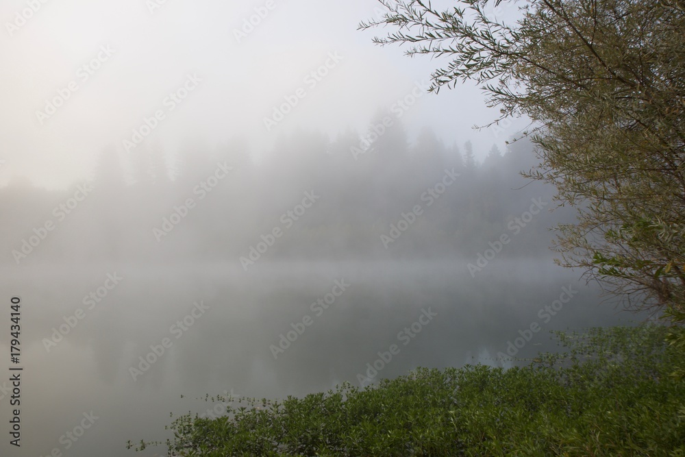 Windsor, California - RiverFront Regional Park morning after rain lake, Russian River